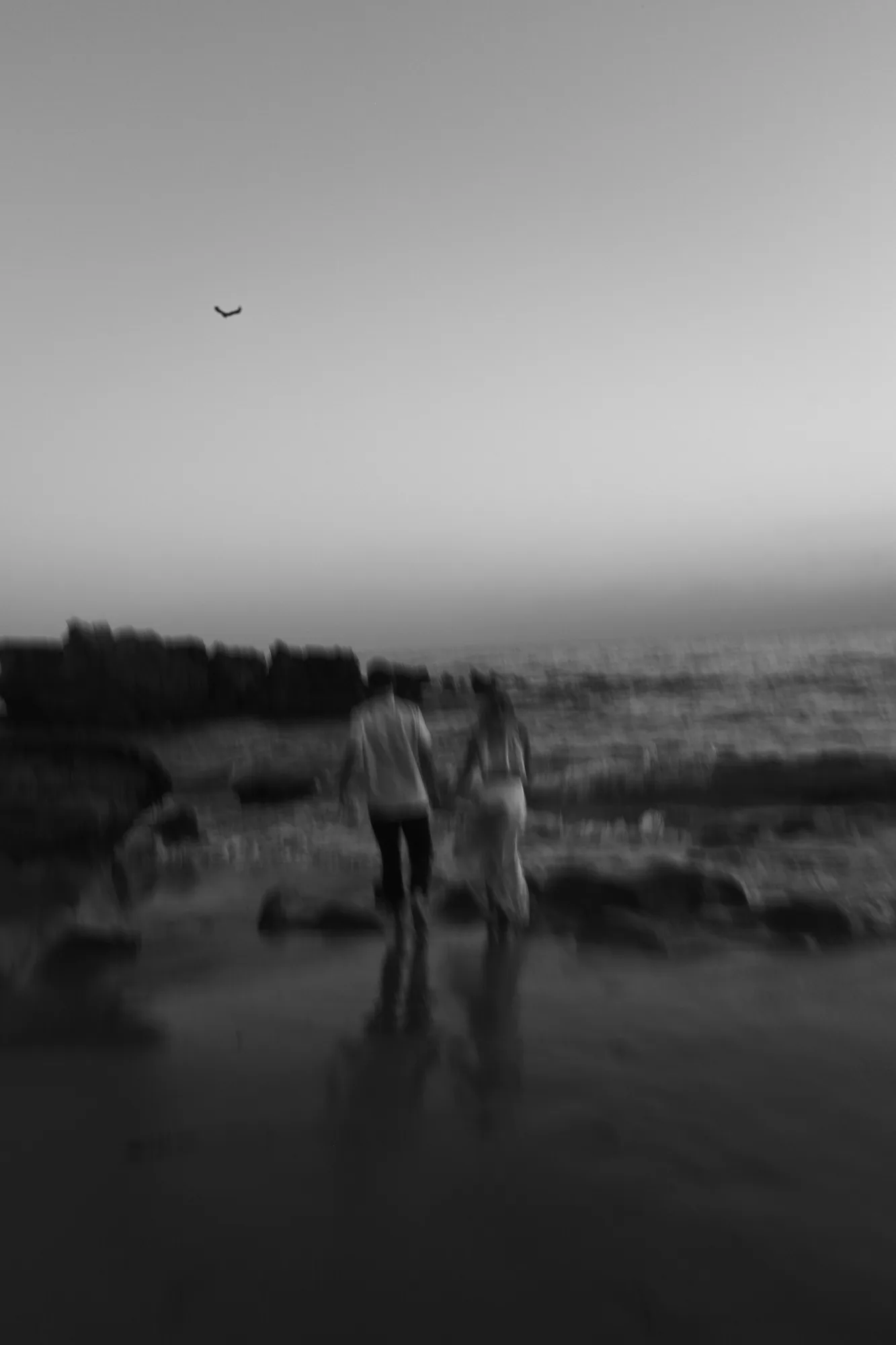 Couple holding hands at the water's edge at dusk, black and white