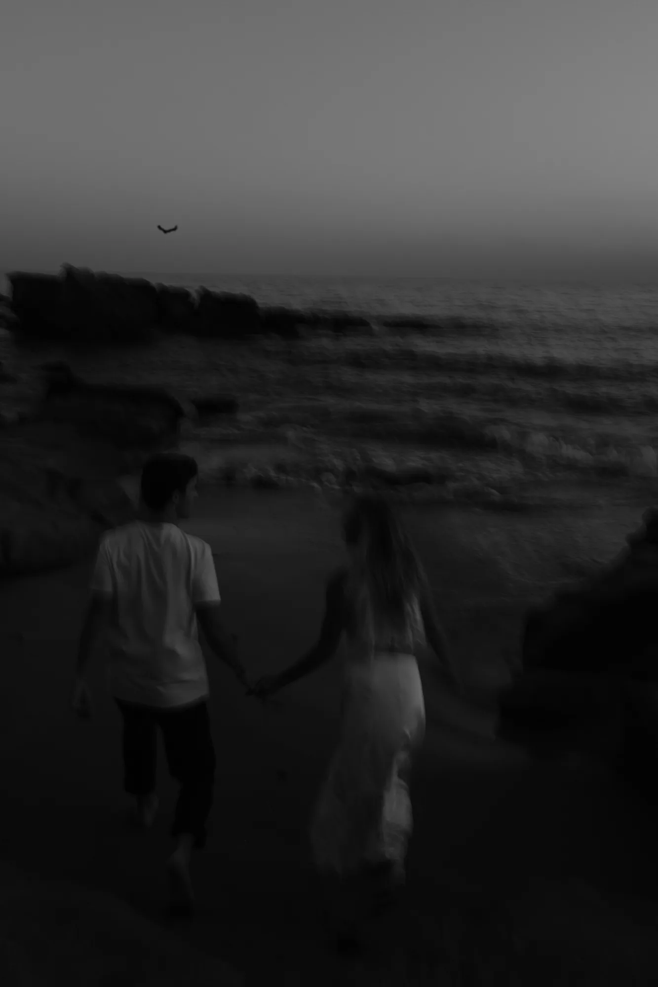 Couple walking hand in hand along the shoreline at dusk, black and white couples session